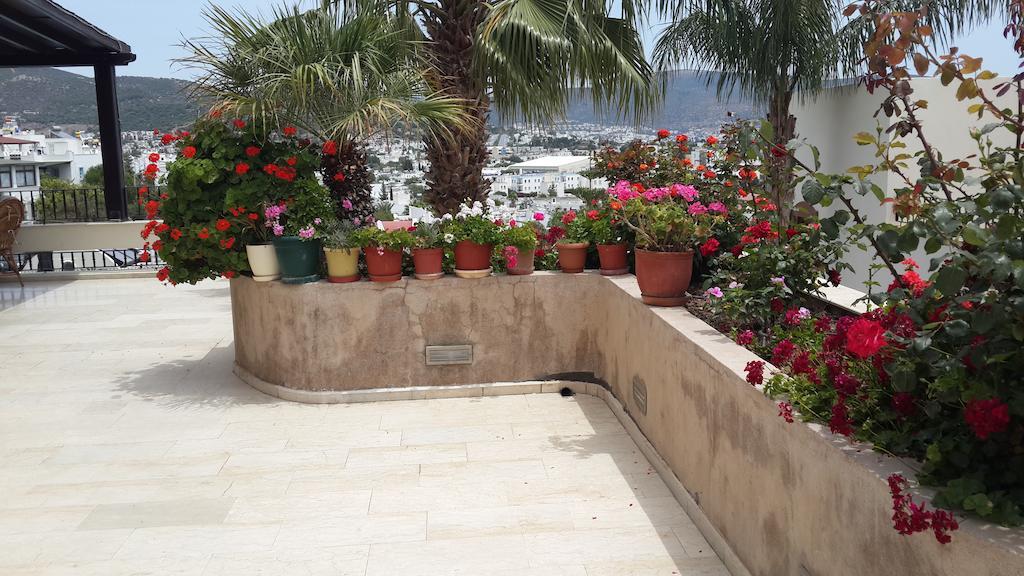 غومْبيت Ozukara Apart 2 المظهر الخارجي الصورة